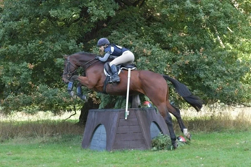Pilates for dressage riders - Stoney Stretton Physiotherapy